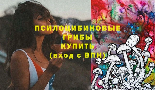 стаф Алексеевка