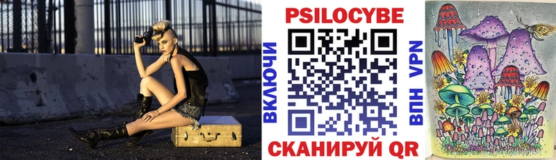 Галлюциногенные грибы Psilocybe  Вышний Волочёк 